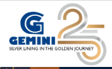 Gemini Software Solutions Pvt Ltd